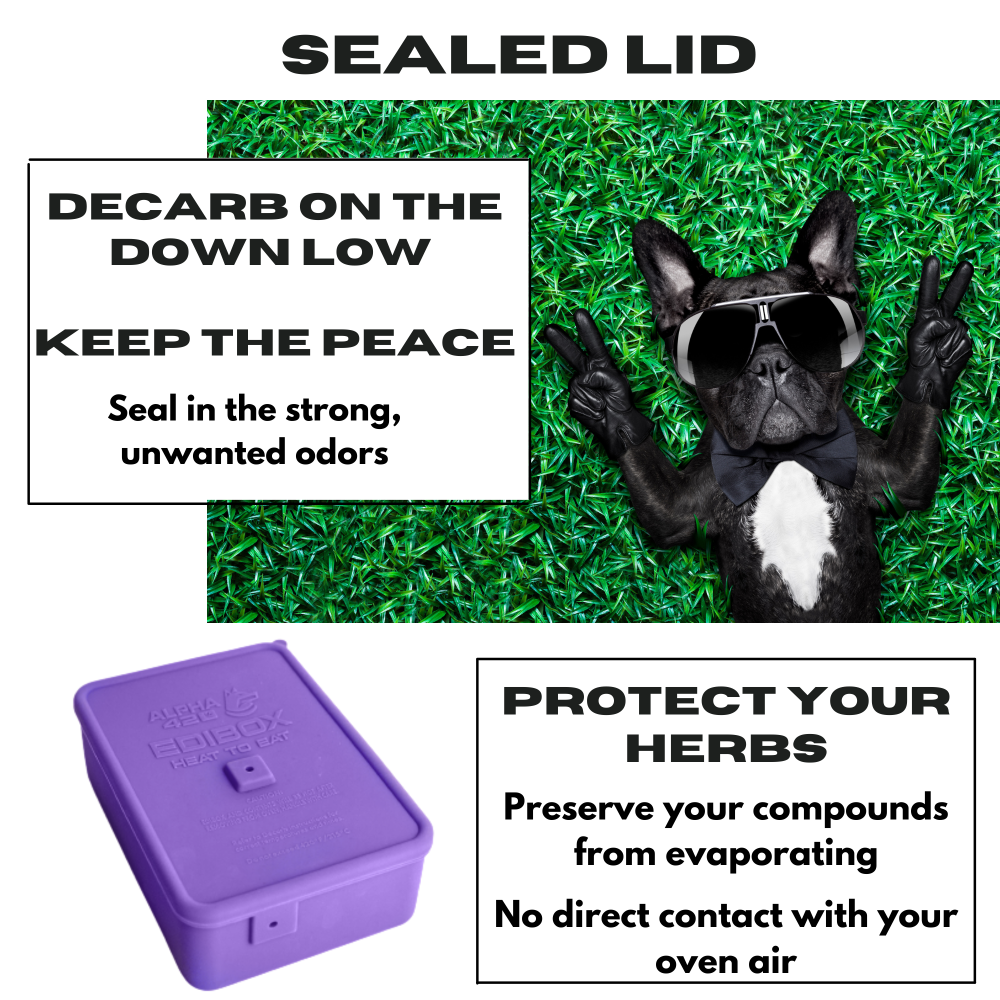 decarb smell proof box odor